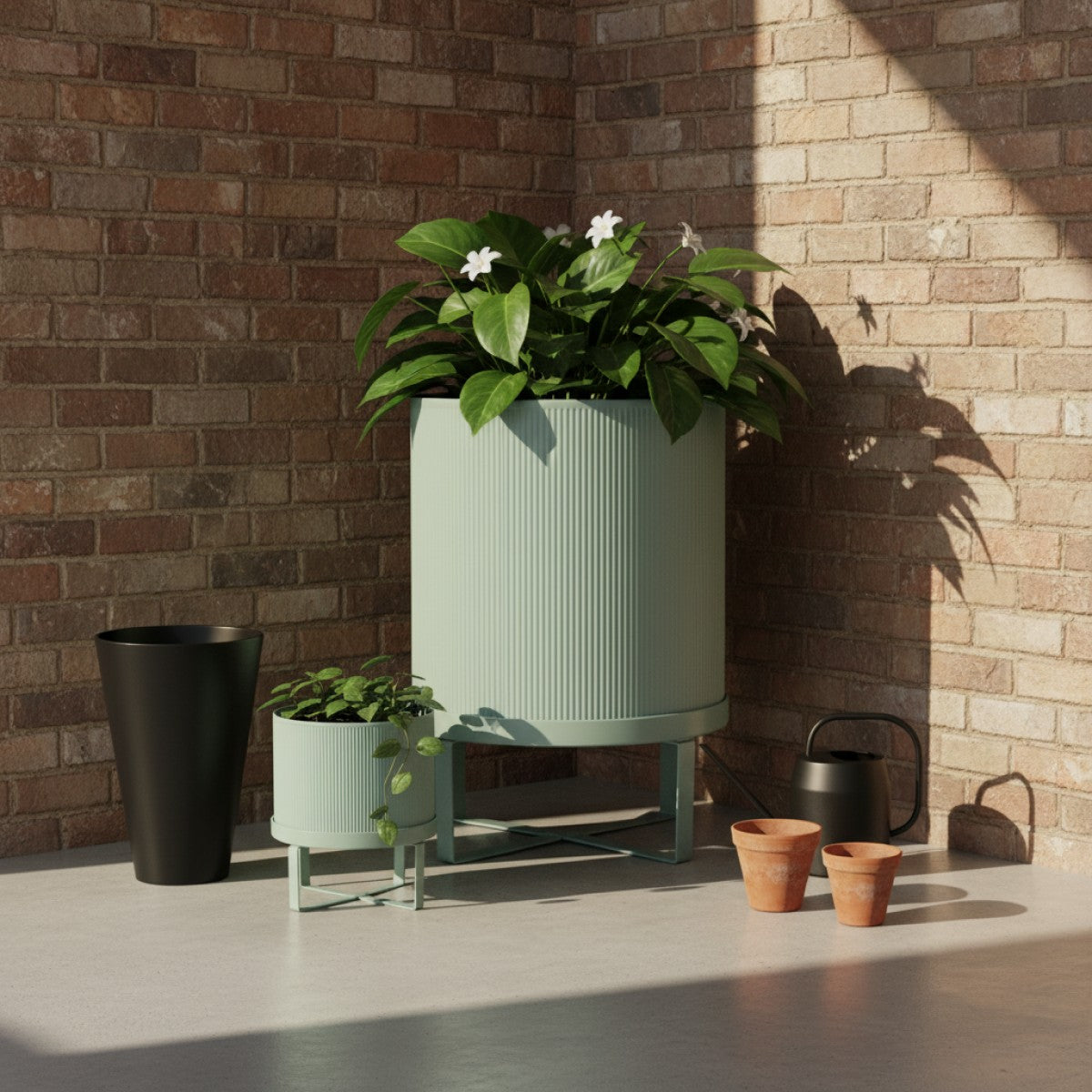 Bau Pot